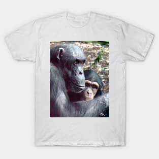 Chimpanzees T-Shirt